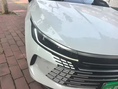BYD Destroyer 05