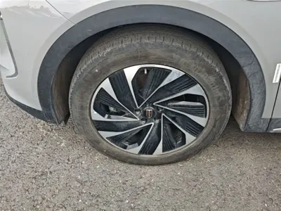 Hongqi Hongqi HS7 PHEV