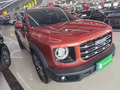 Haval Big Dog