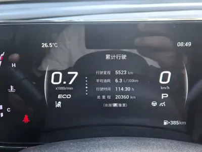 GAC Motor Shadow Leopard