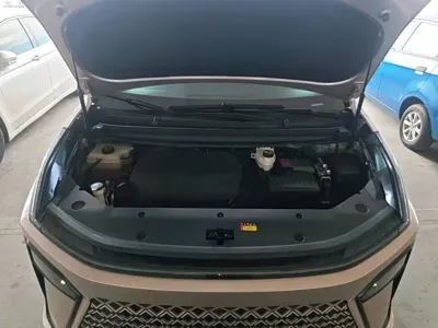 Maxus G70
