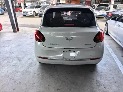 Wuling Bingo