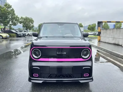 Galaxy Panda