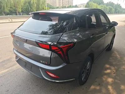 NETA Neta V