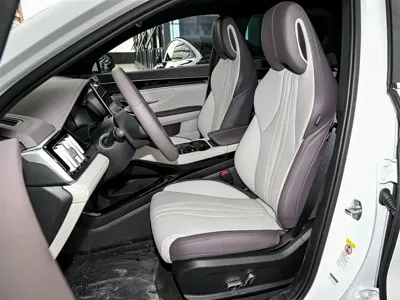 BYD PLUS New Energy