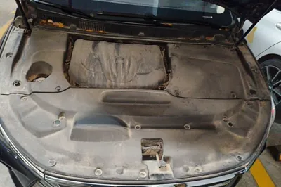 BYD Song Max