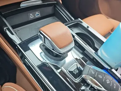 Hongqi Hongqi H9