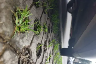 Toyota Frontlander