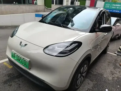 Wuling Bingo