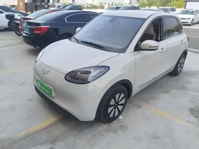 Wuling Bingo