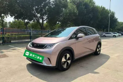 BYD Dolphin