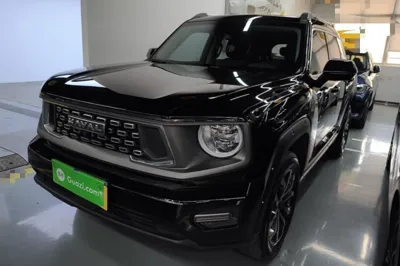 Haval H Dog