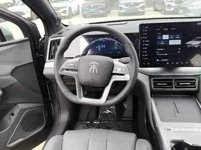 BYD L DM-i