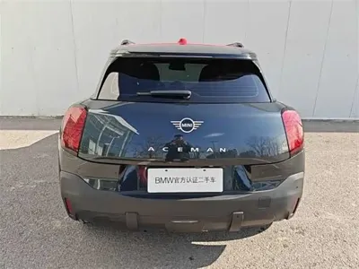 MINI MINI ACEMAN EV
