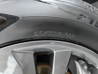 Everus VE-1