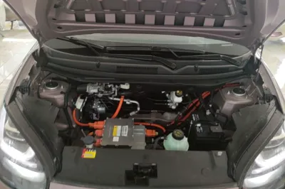 Wuling Bingo