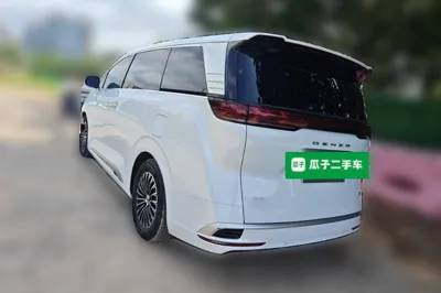 Denza D9
