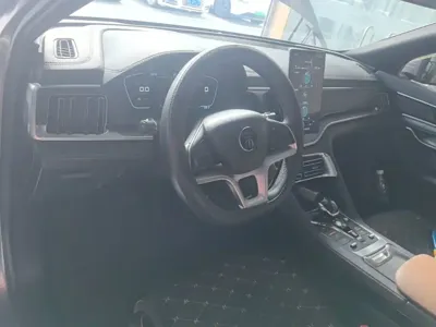 BYD PLUS