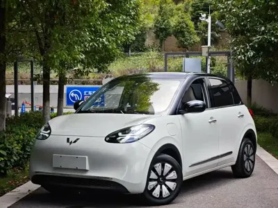 Wuling Bingo