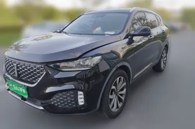 WEY VV6