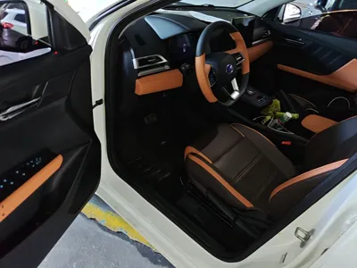 BYD e2
