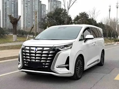Denza Denza D9