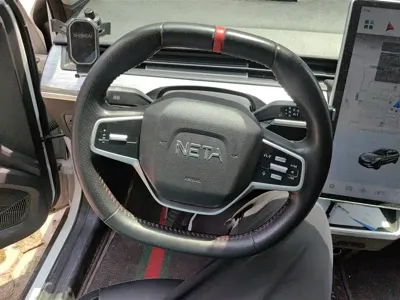 NETA Neta V