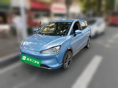 NETA Neta V