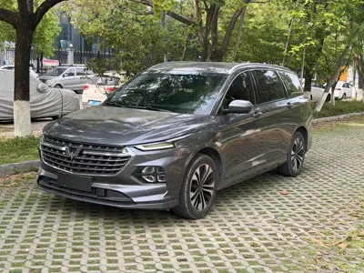 Wuling Victory