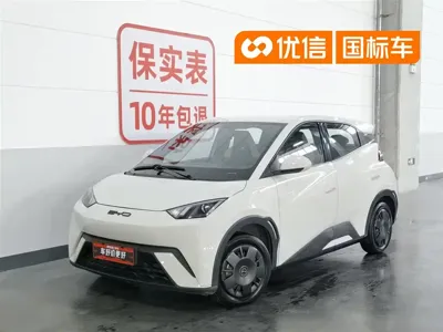 BYD Seagull