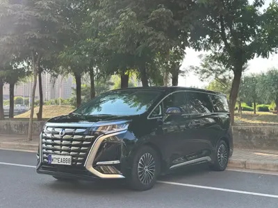 Denza Denza D9