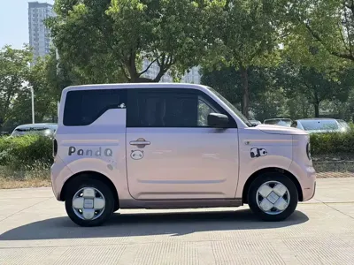 Galaxy Panda