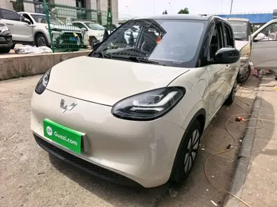 Wuling Bingo