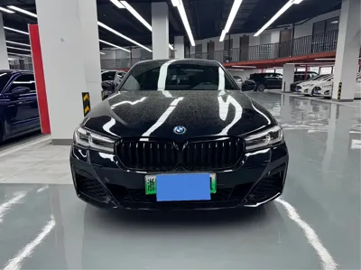 BMW 5 Series New Energy