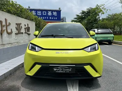 BYD Seagull