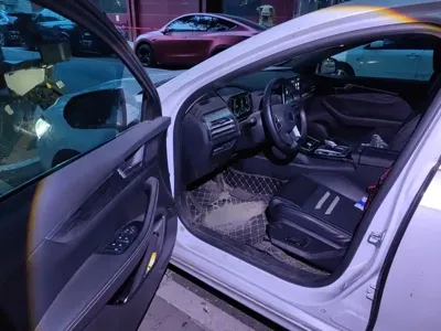 BYD Qin Pro NEV