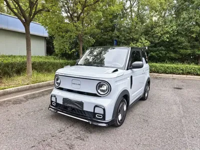 Galaxy Panda
