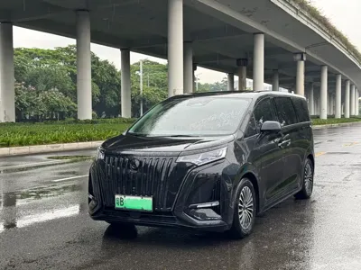 Denza Denza D9