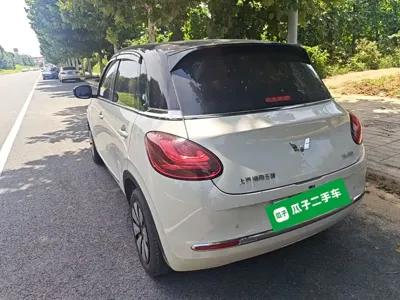 Wuling Bingo