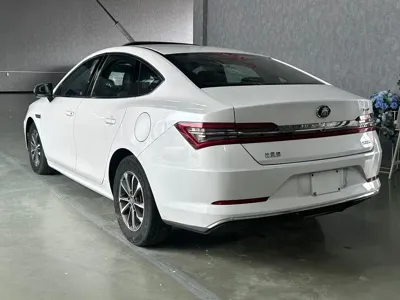 BYD Qin Pro NEV
