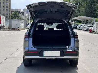 BYD Pro New Energy