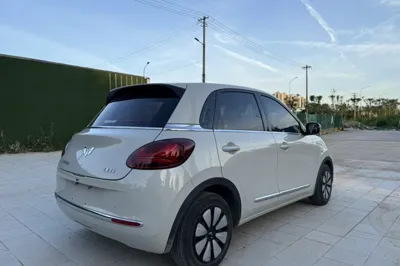 Wuling Bingo