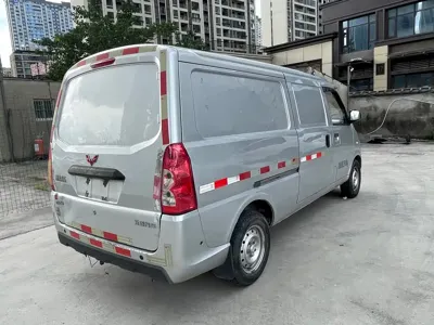 Wuling Wuling EV50