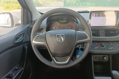 Baojun 310