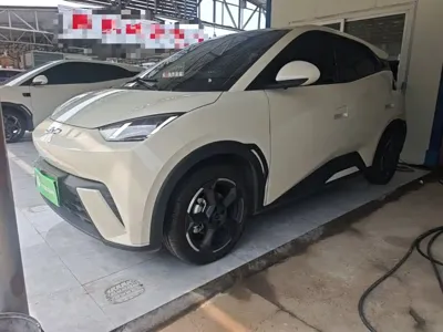 BYD Seagull