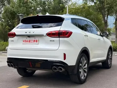 WEY Wey VV6
