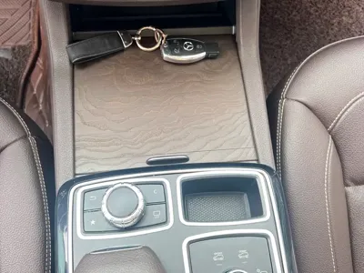 Mercedes-Benz 奔驰GLE(进口)