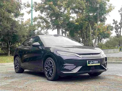 BYD L EV