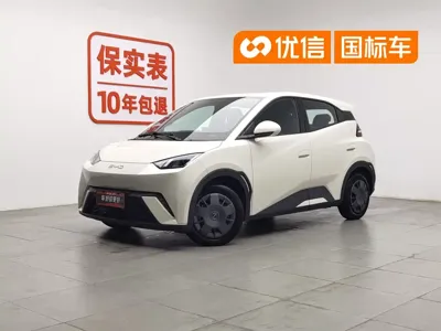 BYD Seagull