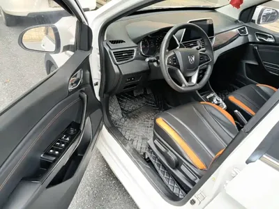 Baojun 310